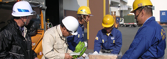 Port Facilities / Animal Quarantine